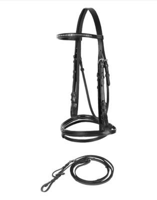 Weston horse bridle