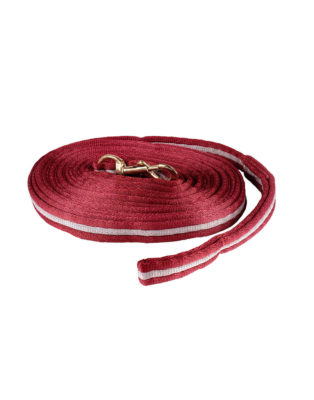 Soft durable webbed lunging reins with clip