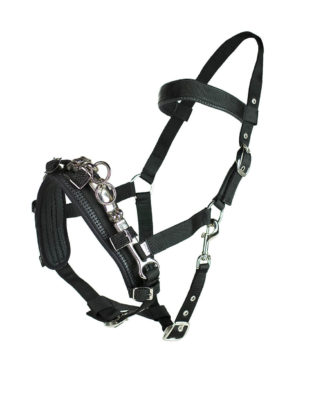 Nylon lunge cavesson with neoprene padding for comfort and various rings on noseband for different training gadgets. Adjustable around nose, cheeks and poll
