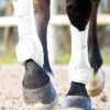 Neoprene horse brushing boots with strong velcro straps to secure a medicine boot like fit for ultimate protection