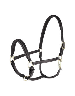 Leather Horse Halter