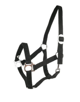 Basic soft nylon webbing halter with metal fittings. Adjustable at the headpiece with a snap closure under the cheek