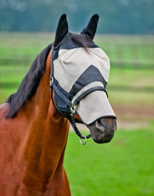 Durable plastic coated high quality micromesh flymask with nose piece