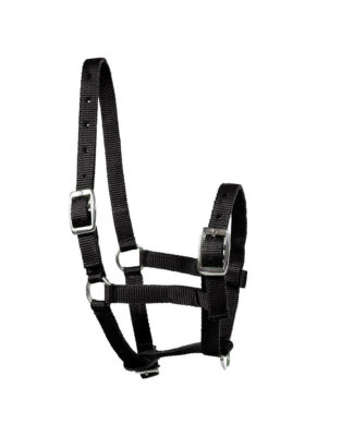 High quality fully adjustable foal halter with metal buckles
