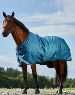 Turin Medium Weight 150g Turnout Rug