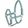 Canal Blue (CNLB)