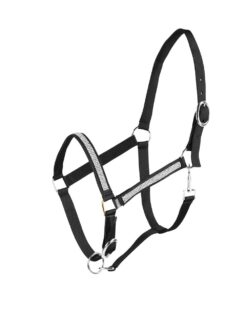 Carlisle Halter