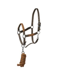 Chicago Halter & Lead Set