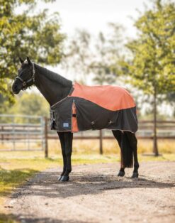 Lucerne Turnout Rug (250g)