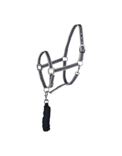 Glarus Halter & Lead Rope