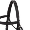 Eternal Gaze Dressage Bridle