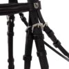Eternal Gaze Dressage Bridle