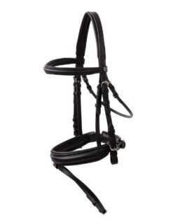 Eternal Gaze Dressage Bridle