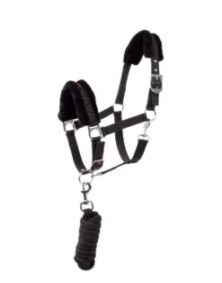 Pegasus Pony halter set